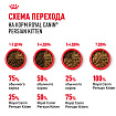 Royal Canin Persian Kitten Корм сухой сбалансированный для персидских котят (до 12 месяцев), 10 кг